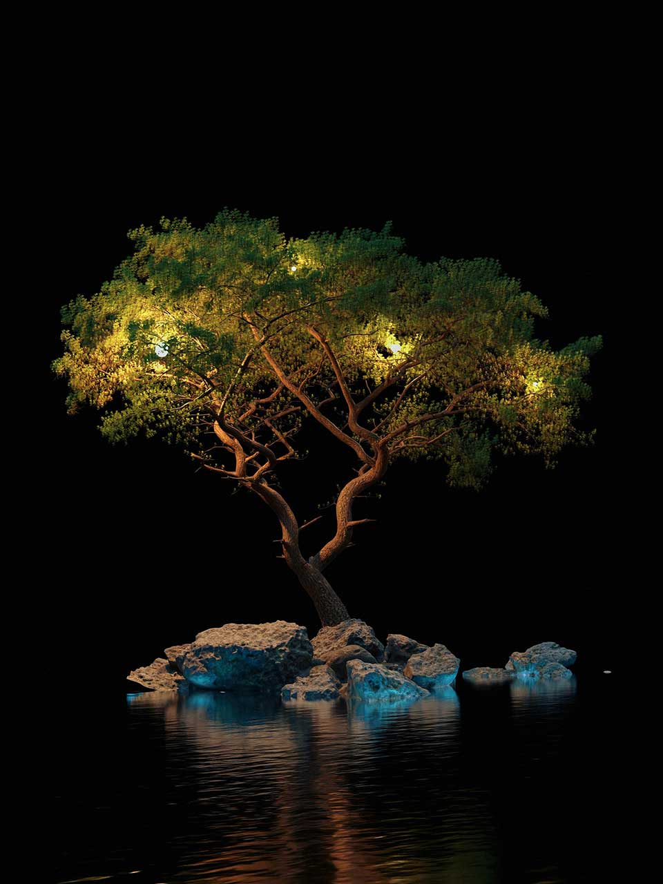 Arbol agua oscuridad